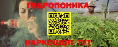 мдпв Гагарин