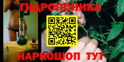 MESCALINE Гатчина