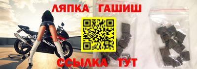 мдпв Гагарин