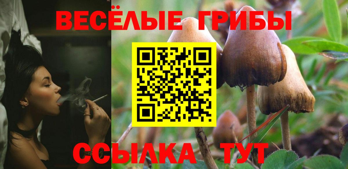 Галлюциногенные грибы мицелий  что такое   Нижневартовск  Вход с VPN 